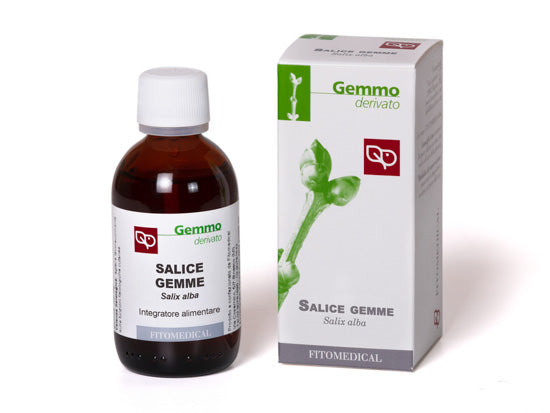 Salice gemme Macerato Glicerico